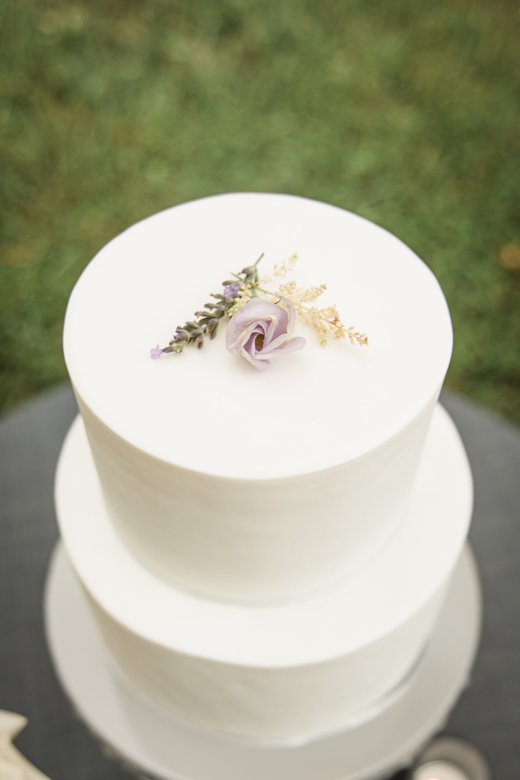 Busch Wildlife  Defiance, MO Summer Styled Shoot  Shoot for Passion18.jpg