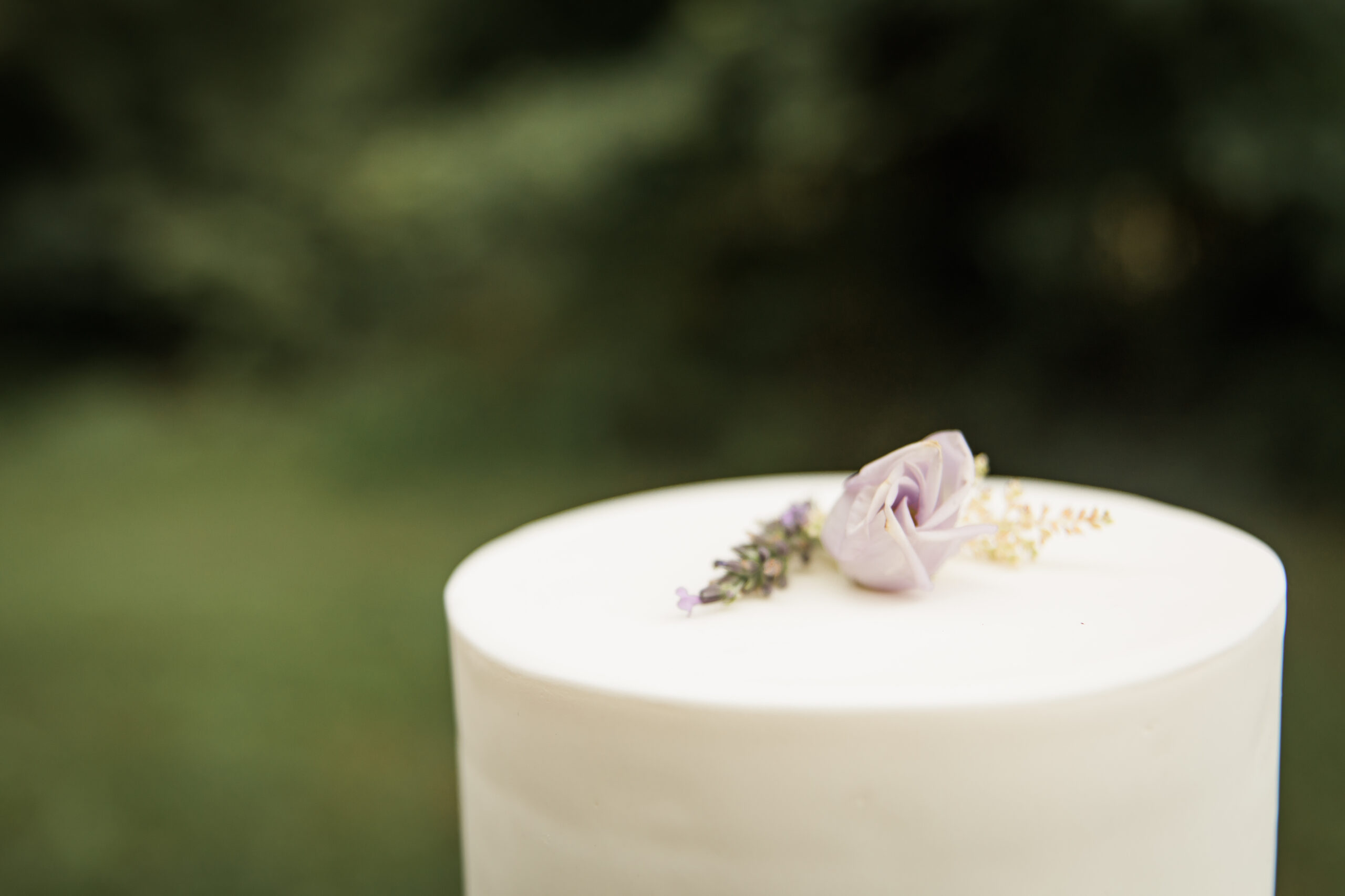Busch Wildlife  Defiance, MO Summer Styled Shoot  Shoot for Passion21.jpg
