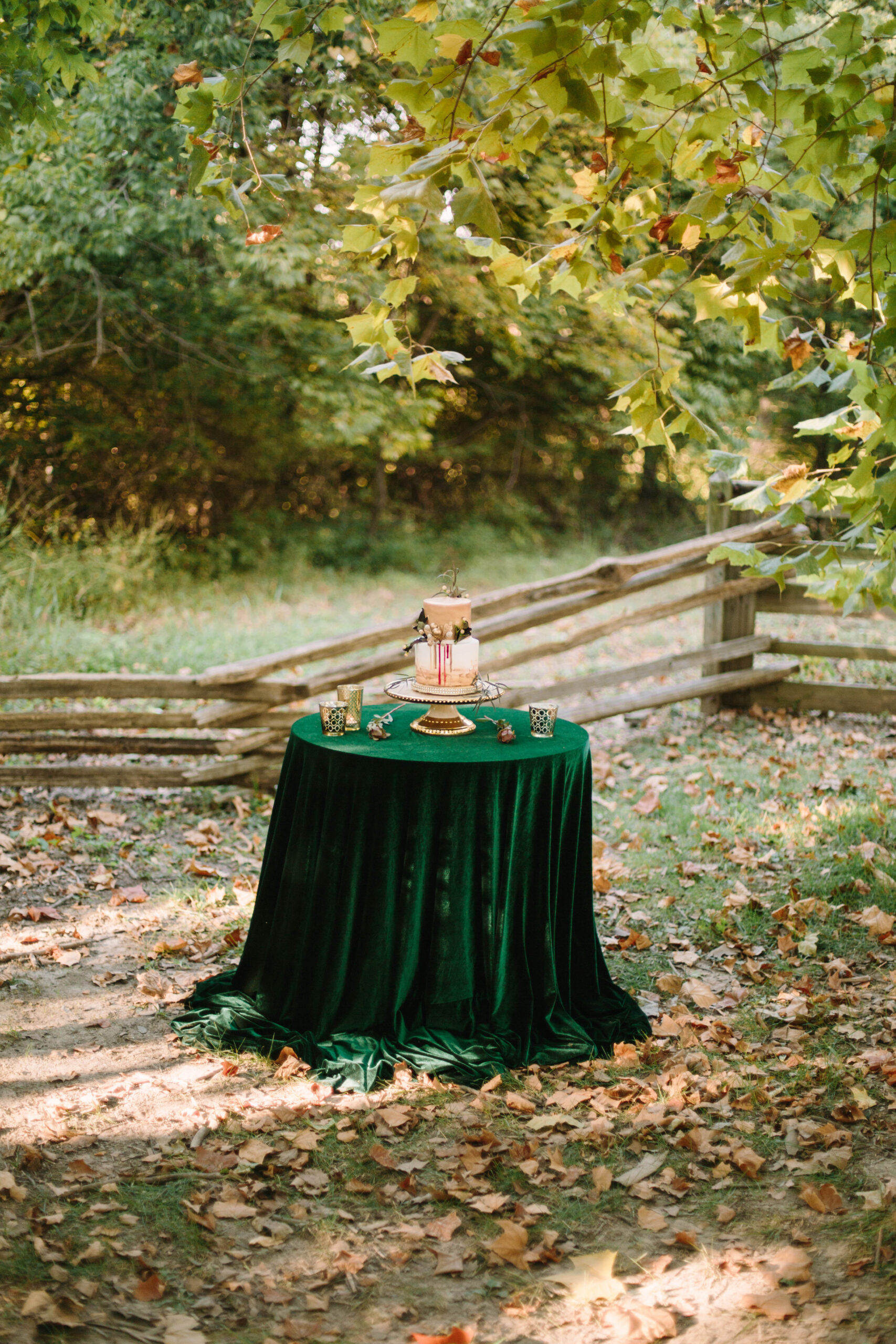 fall shoot-0031.jpg