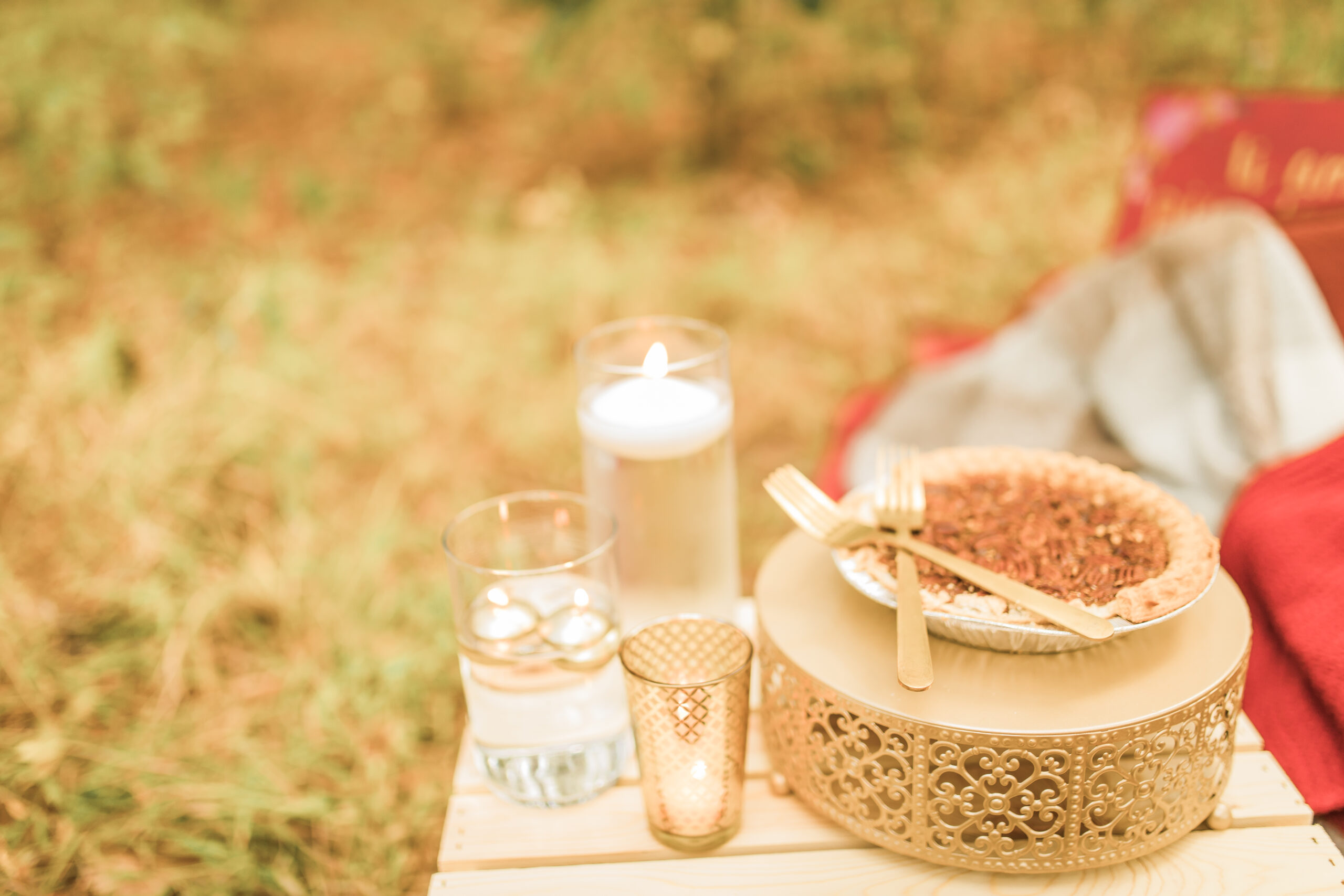 Busch Wildlife  Defiance, MO  Fall Picnic Colorado Themed Surpise Proposal  Cameron + Mikayla  Allison Slater Photography155.jpg