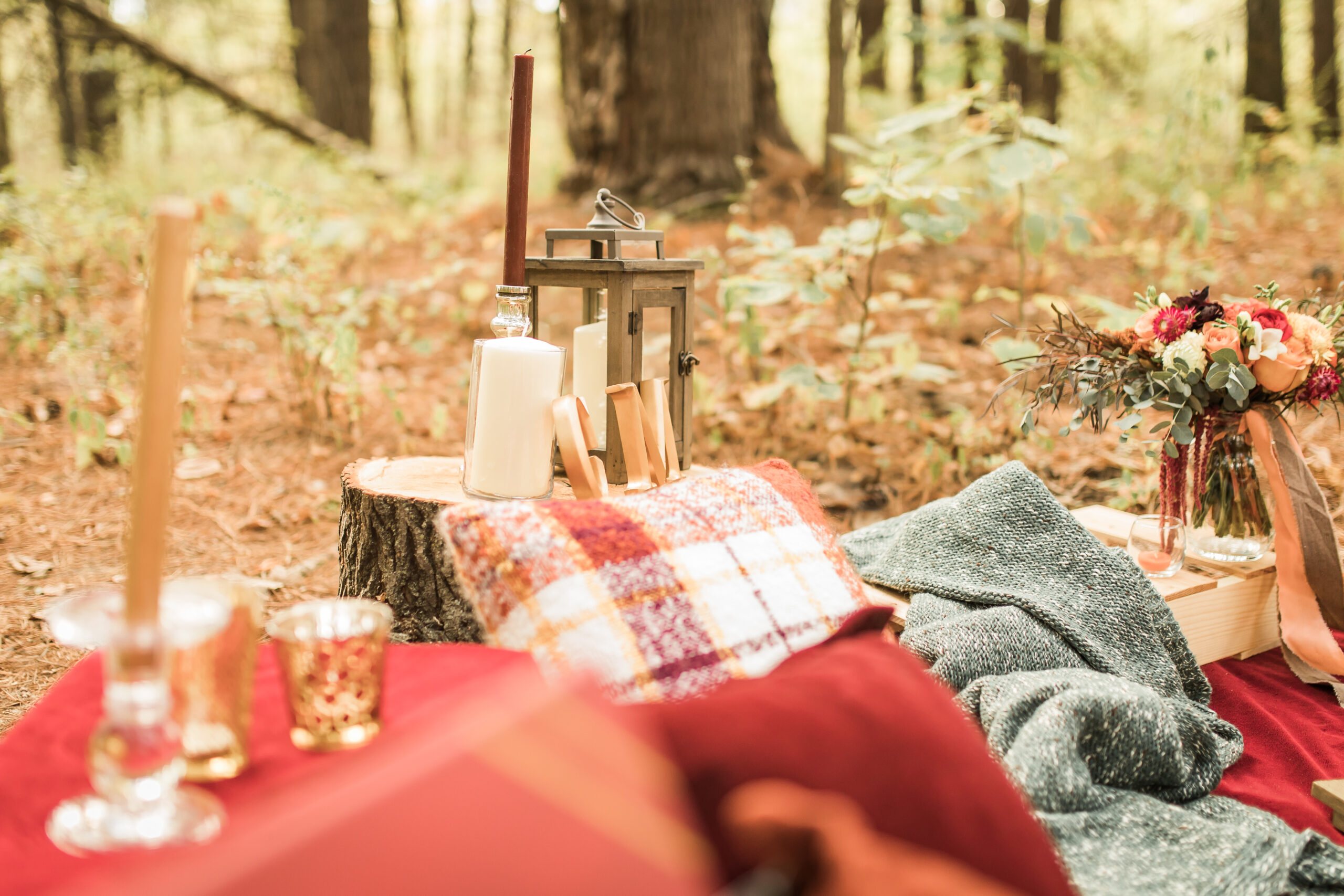Busch Wildlife  Defiance, MO  Fall Picnic Colorado Themed Surpise Proposal  Cameron + Mikayla  Allison Slater Photography137.jpg