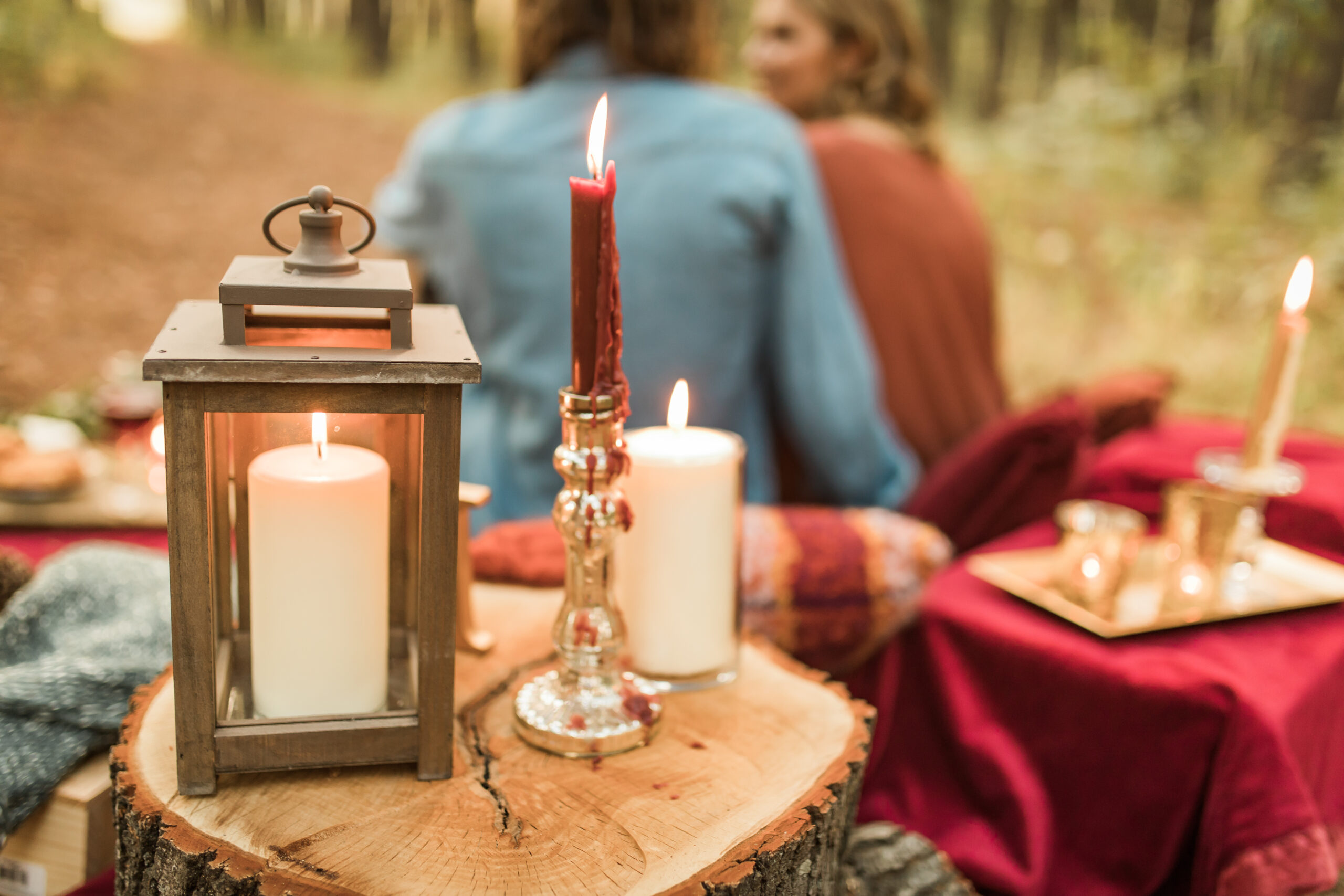 Busch Wildlife  Defiance, MO  Fall Picnic Colorado Themed Surpise Proposal  Cameron + Mikayla  Allison Slater Photography366.jpg