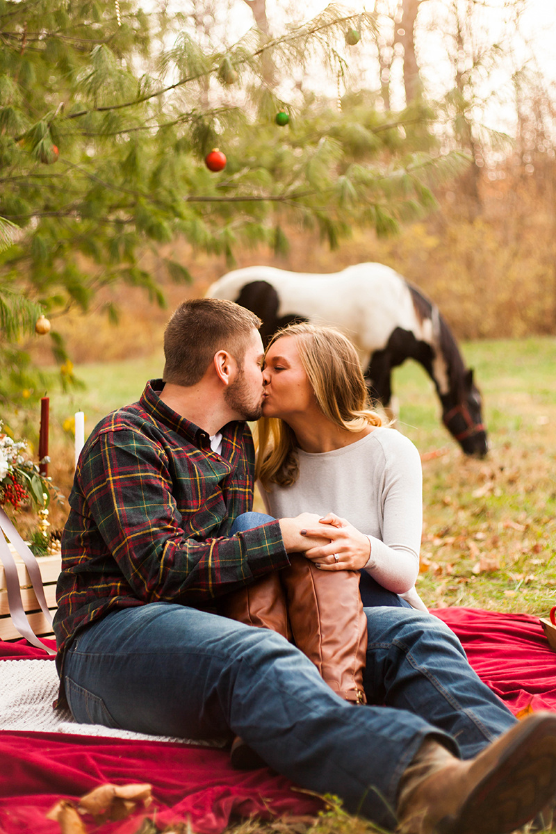 Christmas-horse-styled-shoot-145.jpg