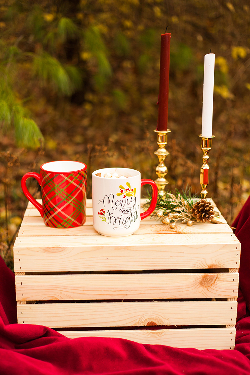 Christmas-horse-styled-shoot-170.jpg