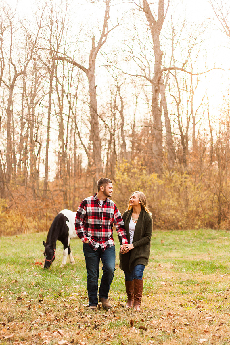 Christmas-horse-styled-shoot-202.jpg