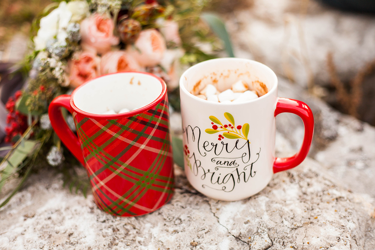 Christmas-horse-styled-shoot-263.jpg